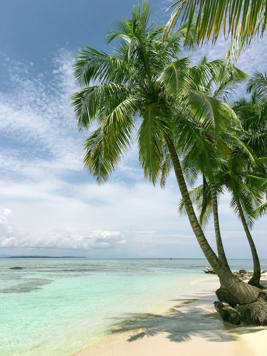 Costa de Isla Saona en Rep&uacute;blica Dominicana